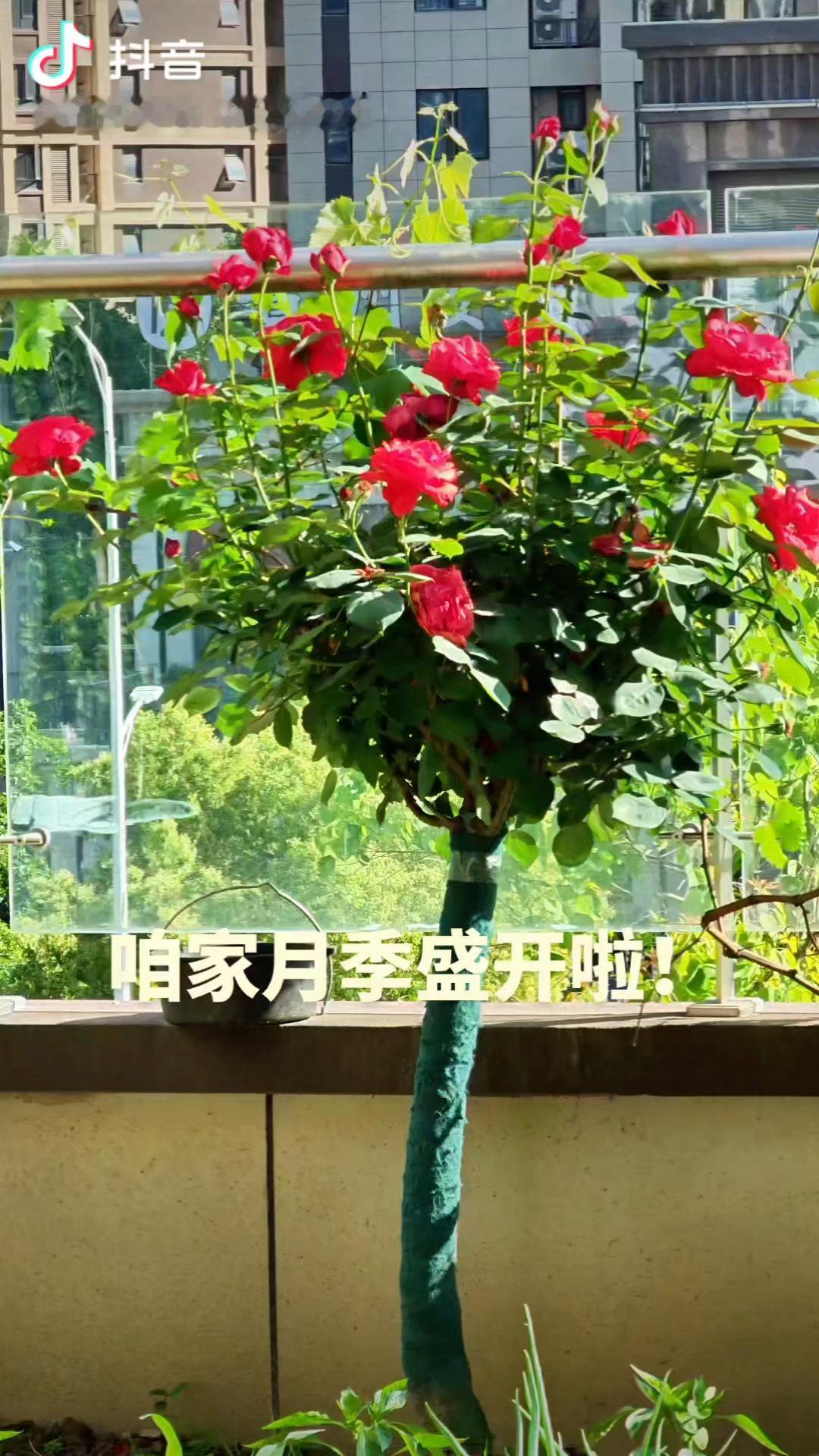 上联:上上下下上下不易，有请下联进进退退进退有节