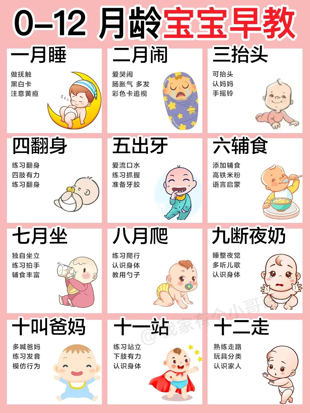 0-12月新生儿宝宝发育规律及早教方法‼️