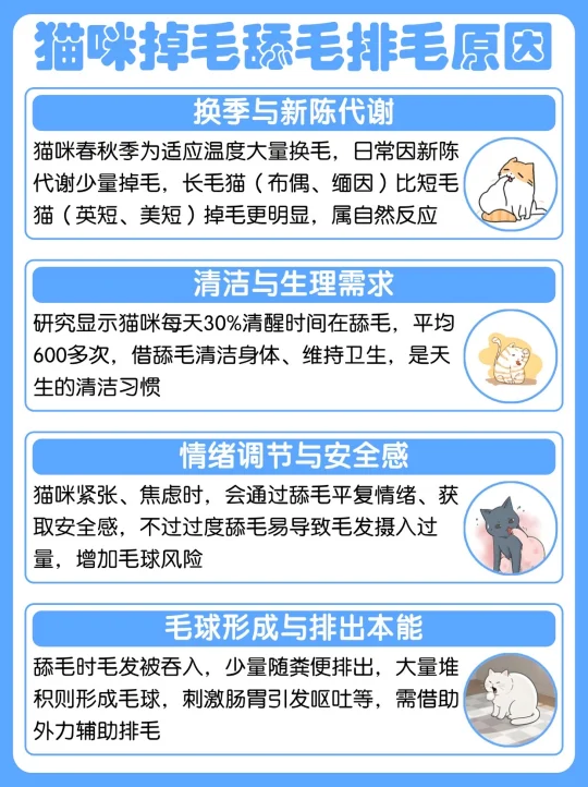 新手养猫别慌！猫咪吐毛球这么弄轻松搞定