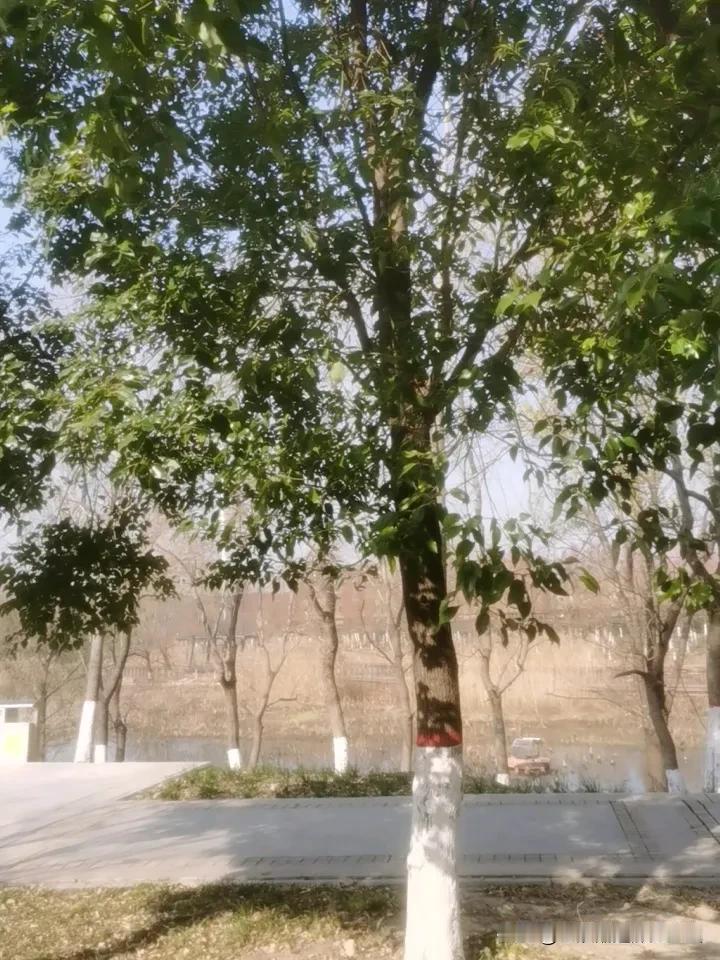 改变第四天
打卡：今日周二，上午休息，天气晴朗