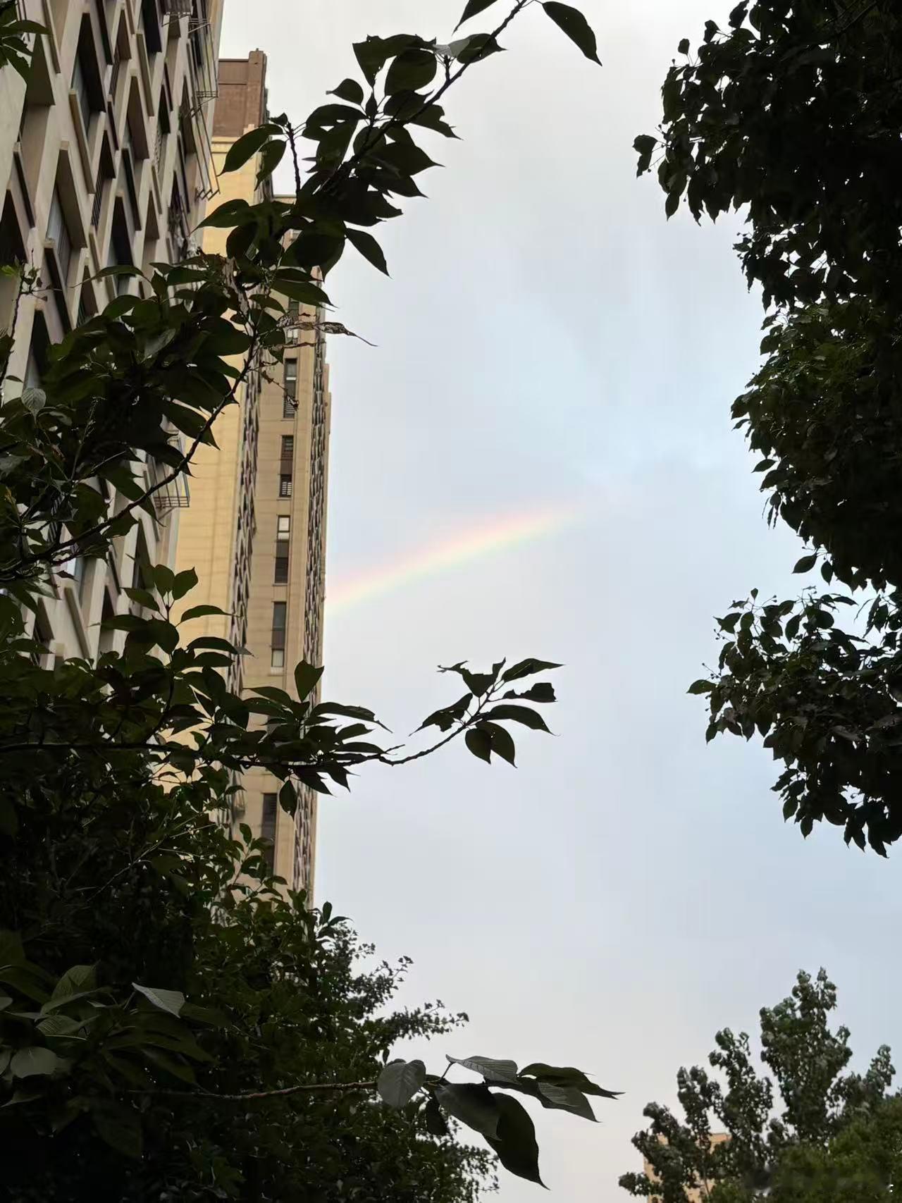 看到了彩虹🌈，听说能带来好运🍀 