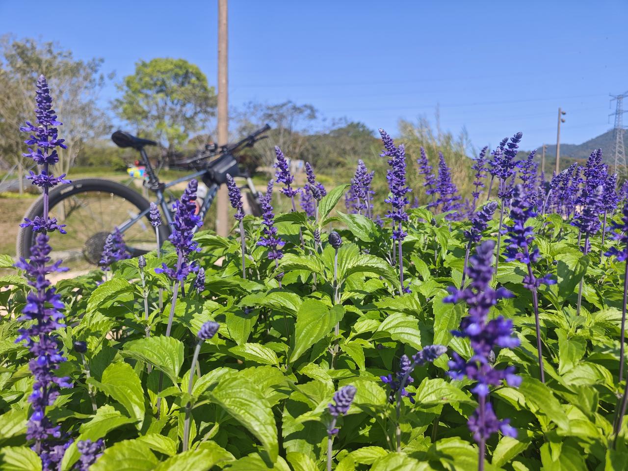 为什么说2026年，是普通人“弯道超车”的最佳窗口期？最近翻看科技圈的动态，发现