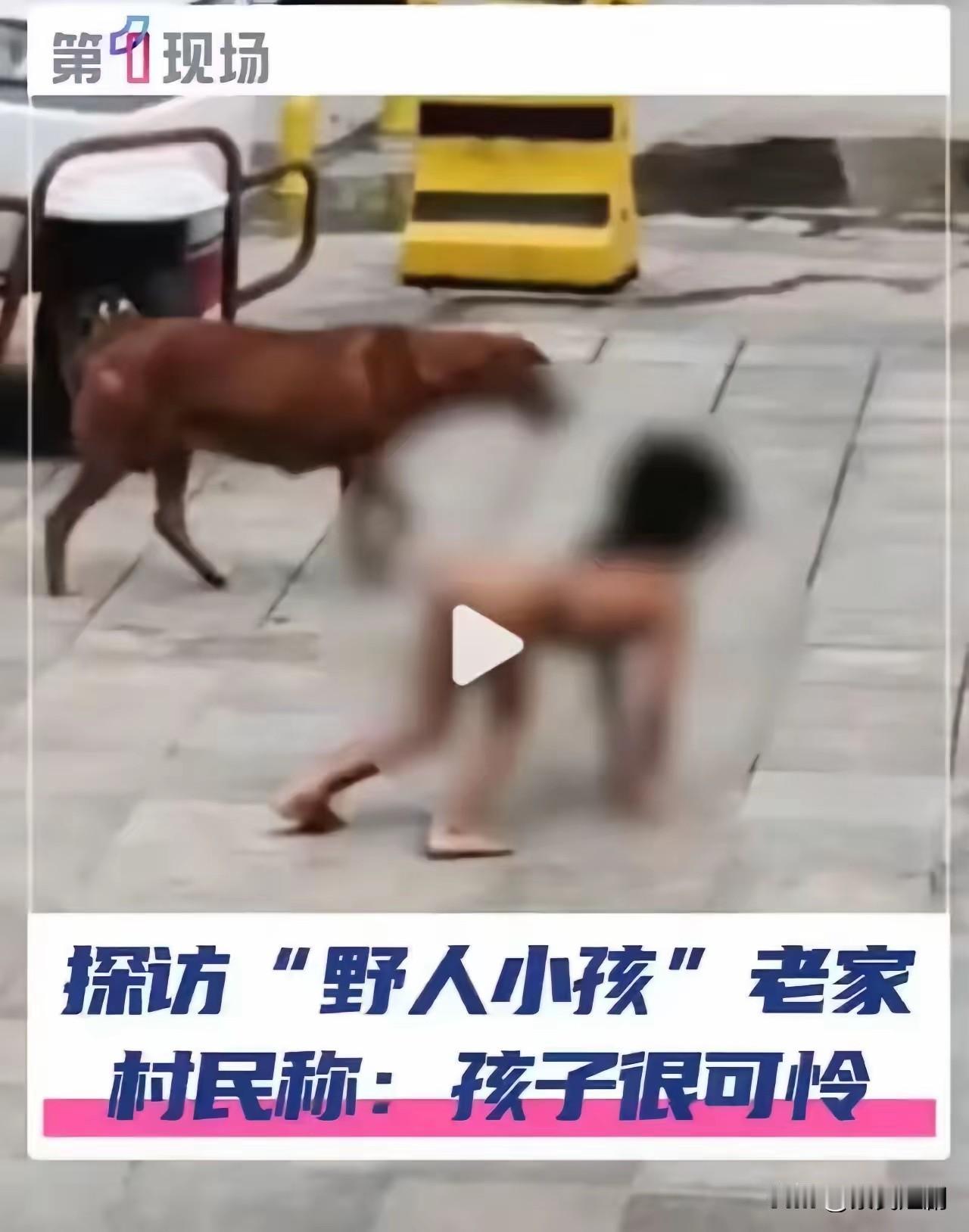 把孩子当“狗”养：触目惊心的养育之痛
“见过把狗当孩子养，没见过把孩子当狗养”，