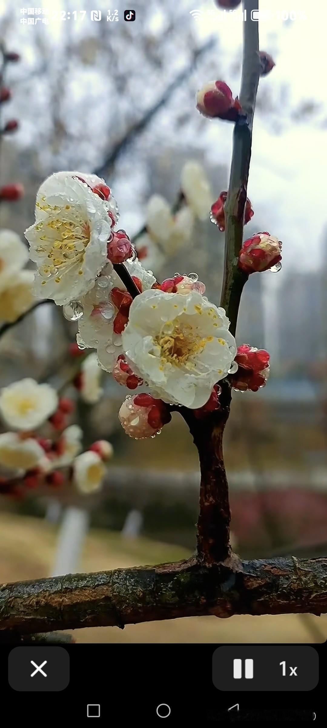 当然是！而且是零成本、高回报的那种！
 
不用名贵补品，不用刻意养生，每天多攒点