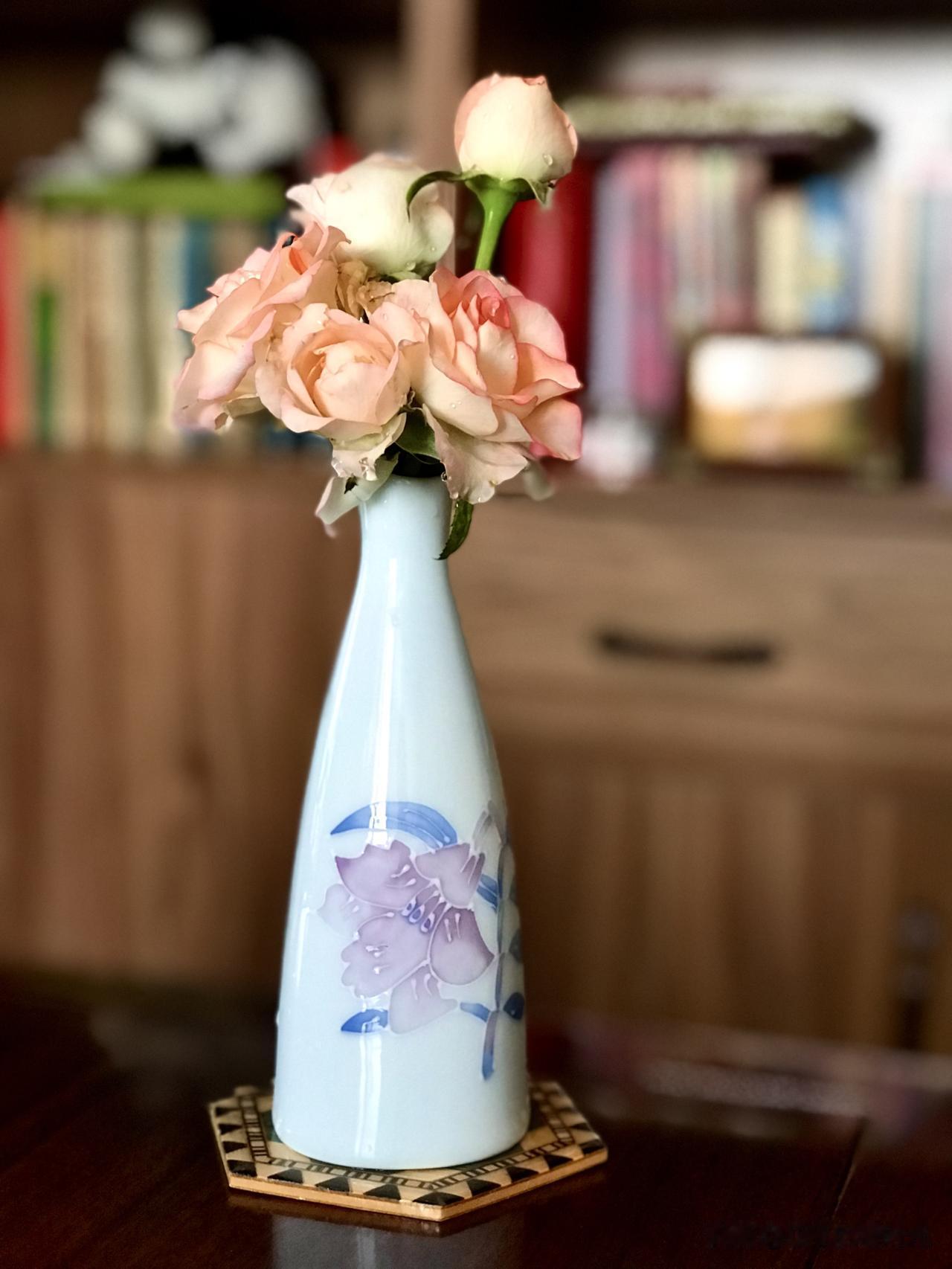 对于鲜花，我们家很默契地分工明确。

先生喜欢种花，我喜欢给花拍照，也喜欢把花摘