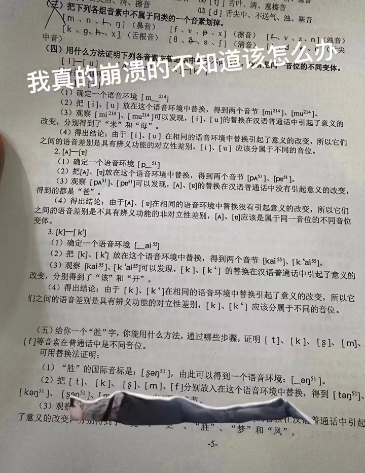 你以为的汉语言文学：研究古籍文言文诗词歌赋&汉语演变发展史实际的汉语言文学：这到