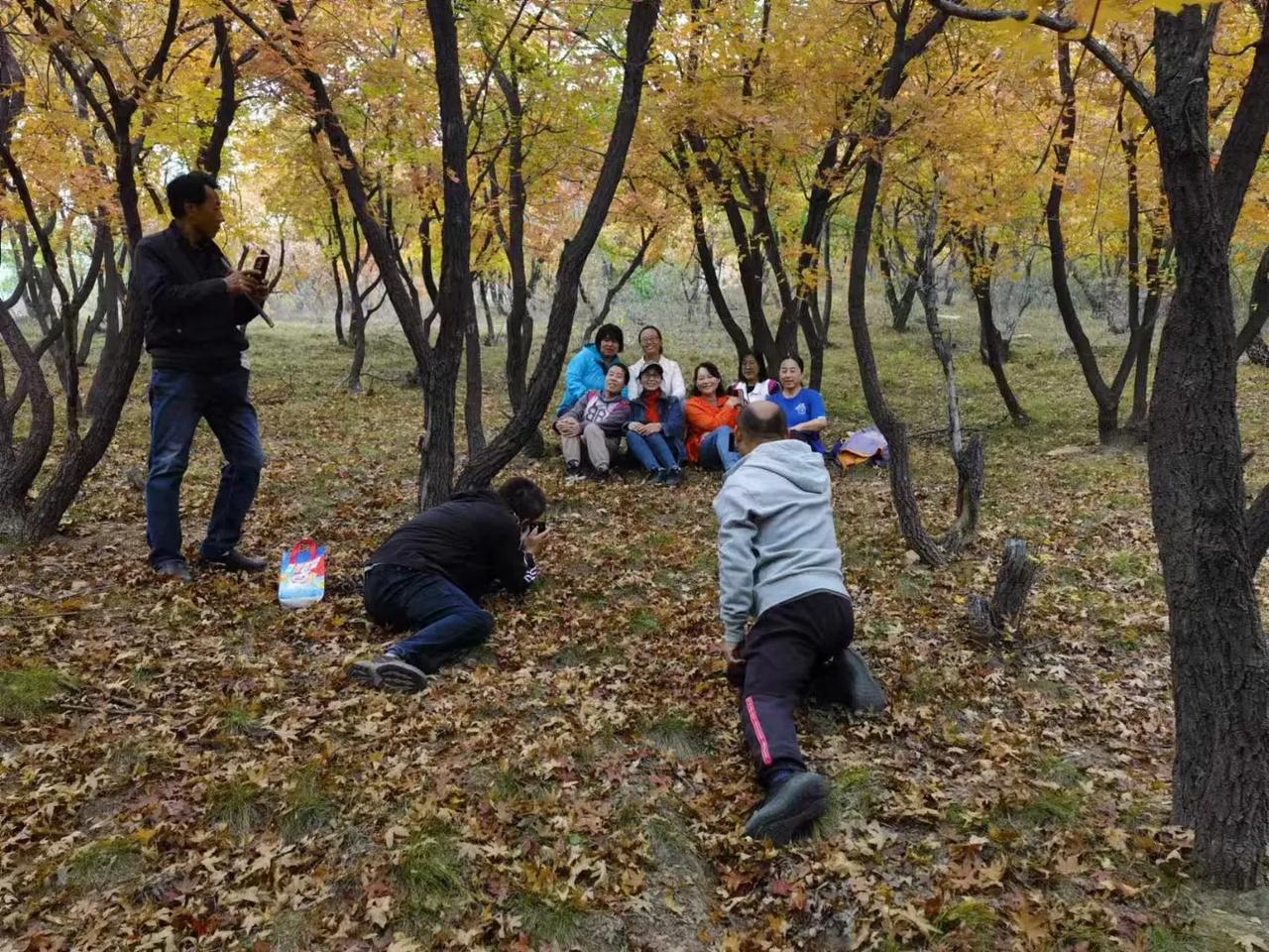 树上挂满了大妈，地上趴满了大爷。