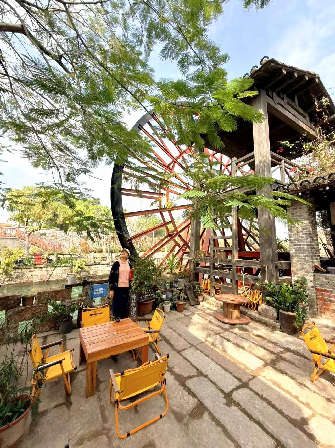 今日分享。做自己的主角