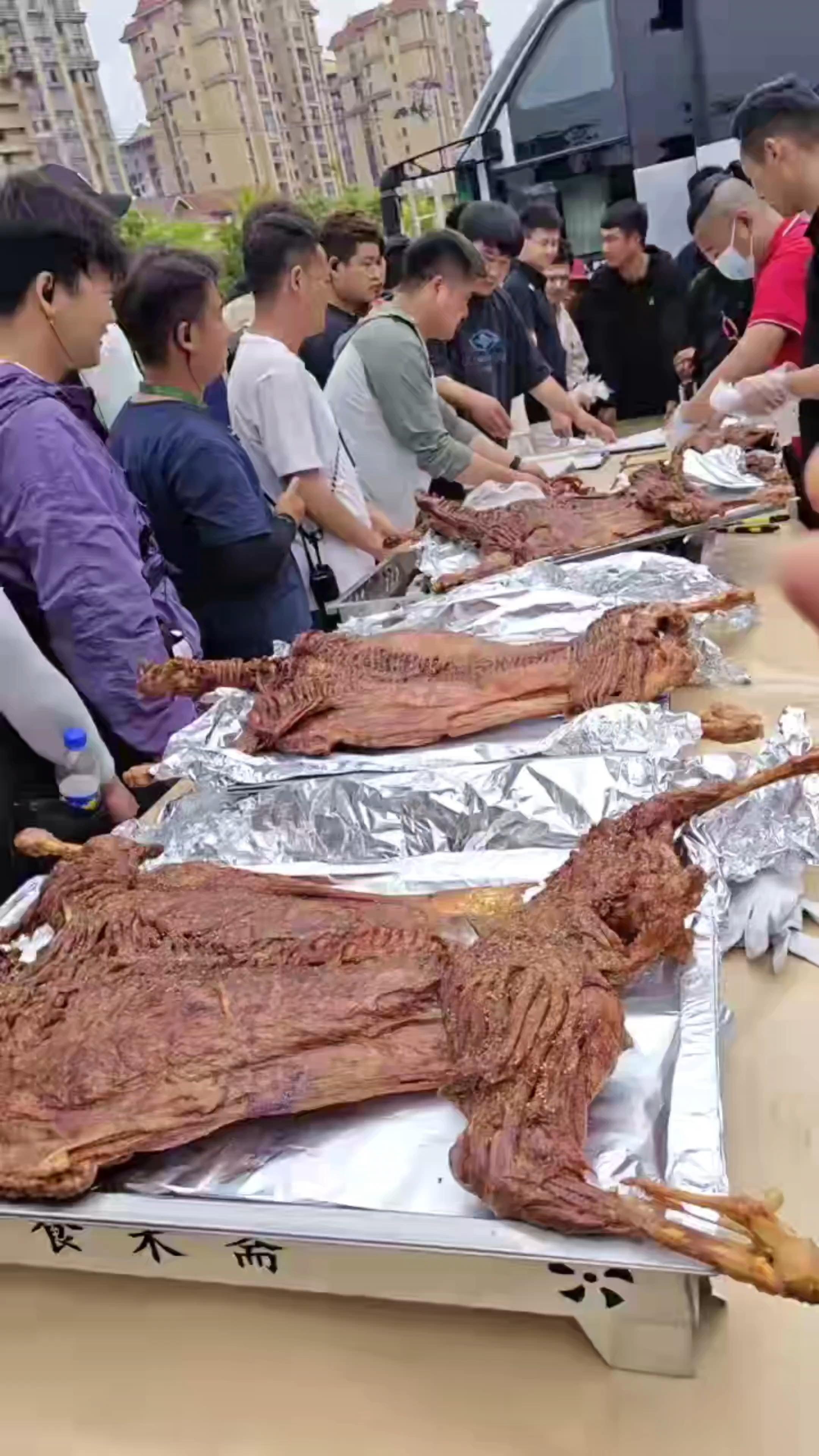 黄景瑜请剧组吃烤全羊黄景瑜明川有知夏 黄老板敞亮