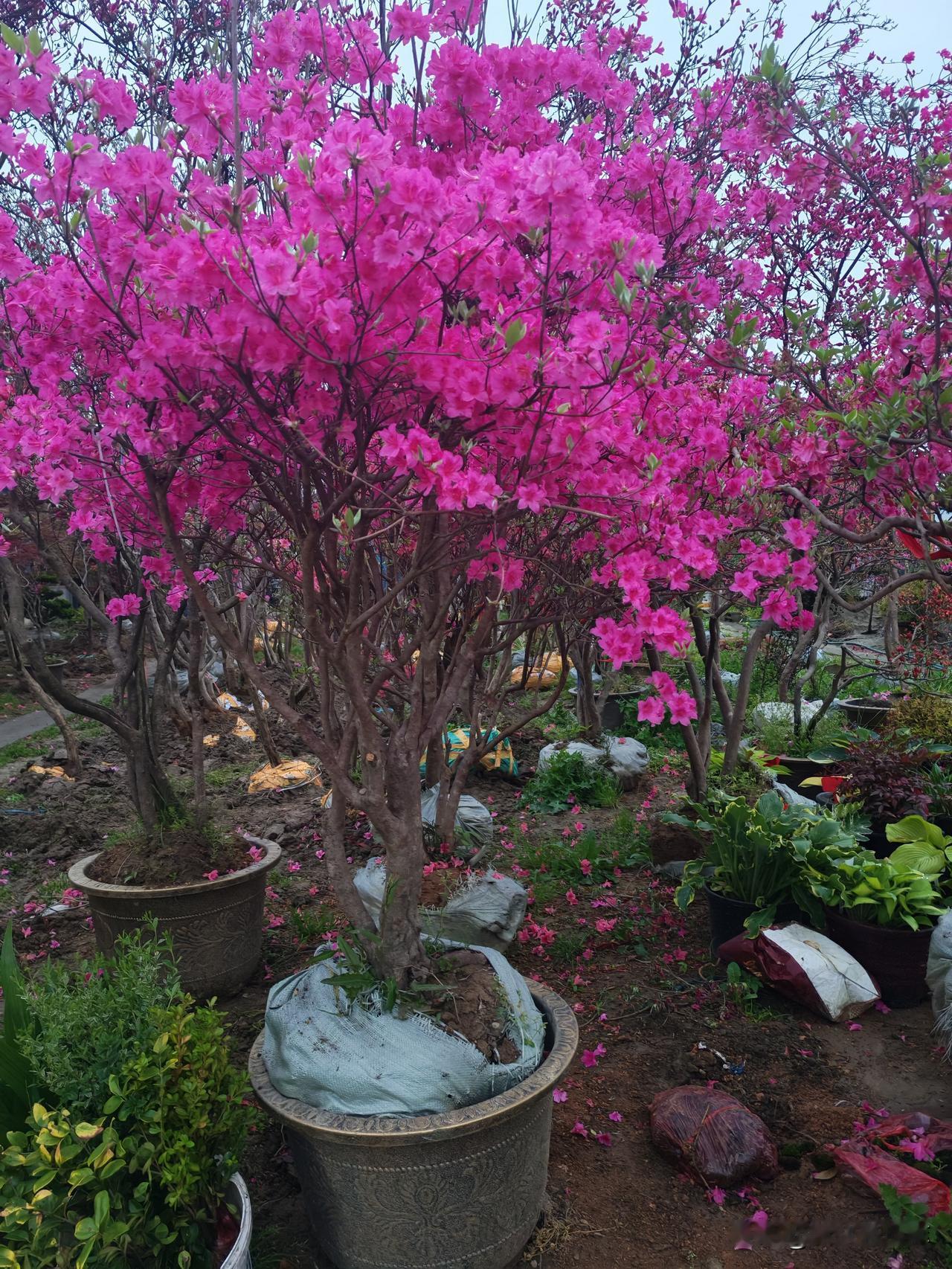 随着互联网的日益发展，挣钱越来越难了。主要是商品价格透明，似乎没有多少虚的，通过