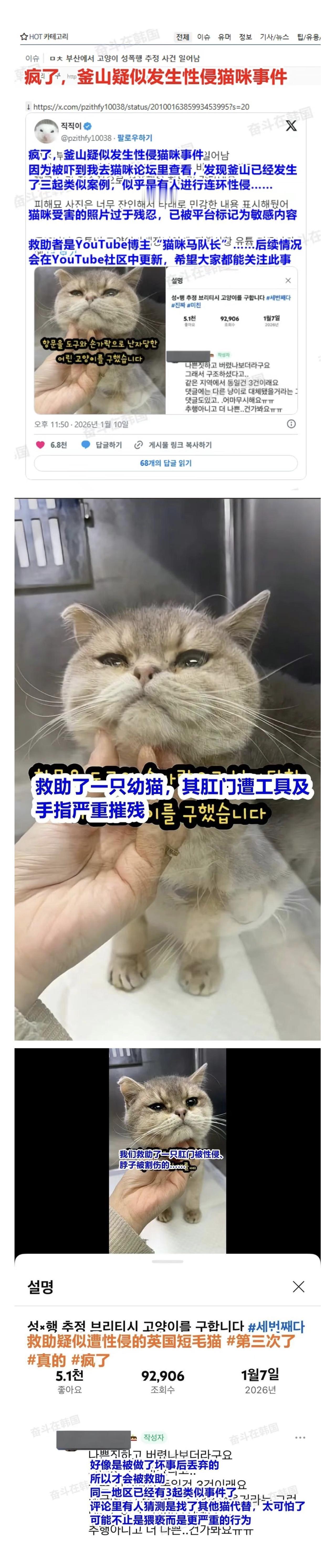 韩国疑似发生性侵猫咪事件，这是韩国网友发布的内容，这种事情，属实有点令人匪夷所思