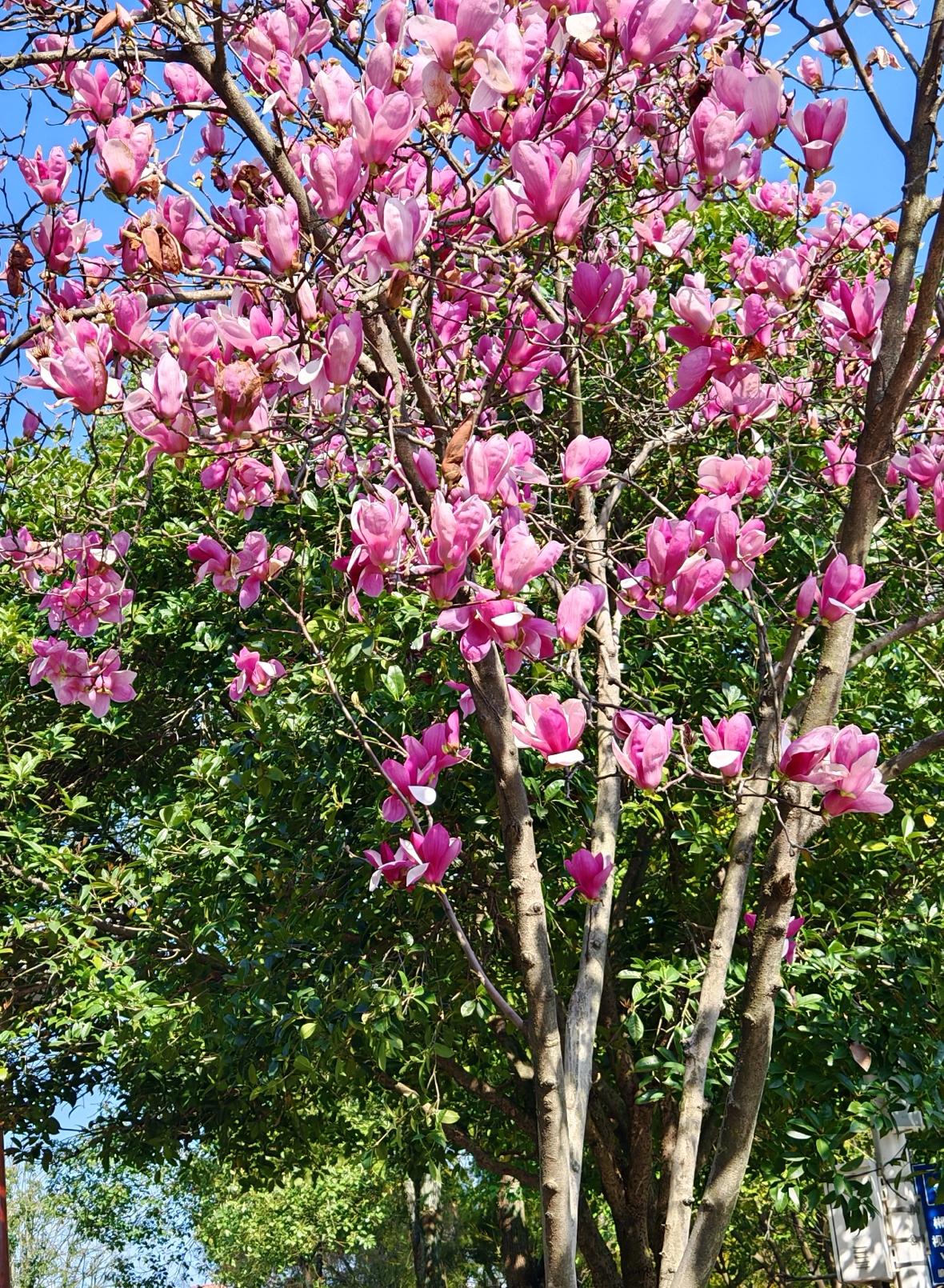 人的一言一行都在影响自己的运势，你要学会如何让它变得好起来。
不要逢人就说自己的