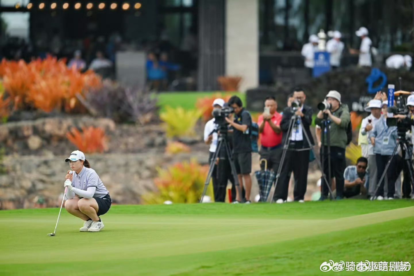 细节造就远距离2026蓝湾大师赛高燃开赛，中国金花以细节与坚持迎战赛场，每一份努