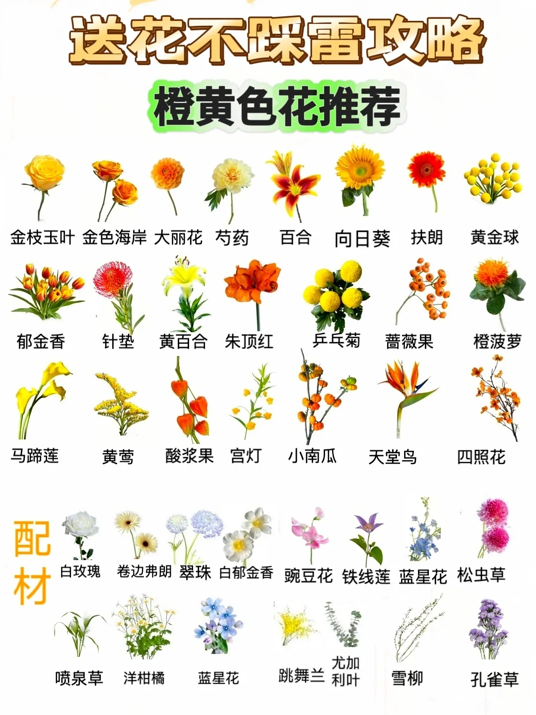 新手必备花束搭配，送花不踩雷攻略💯