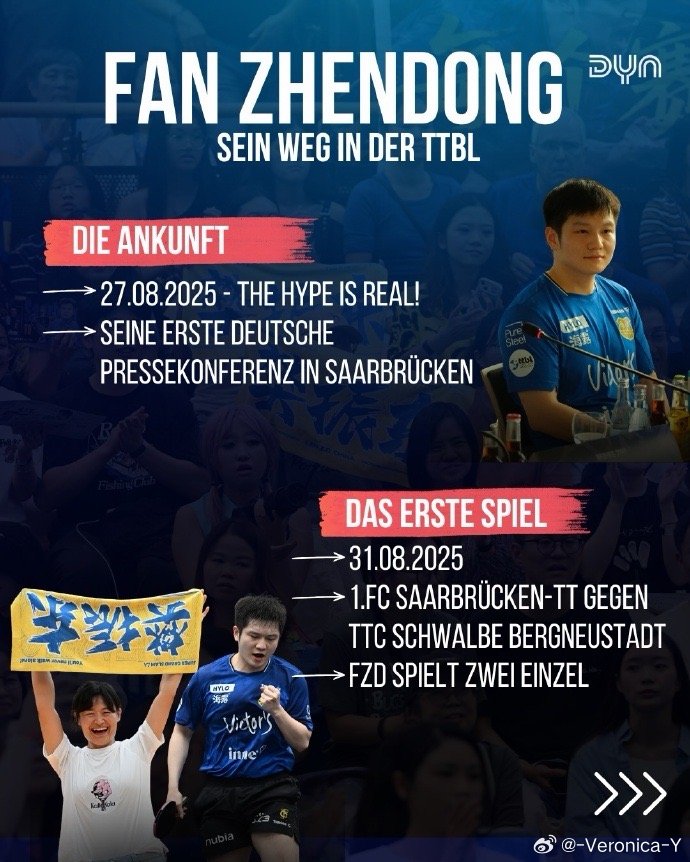 樊振东在德甲的7个月～初到德国2025年8月27日——热度拉满！（The Hyp