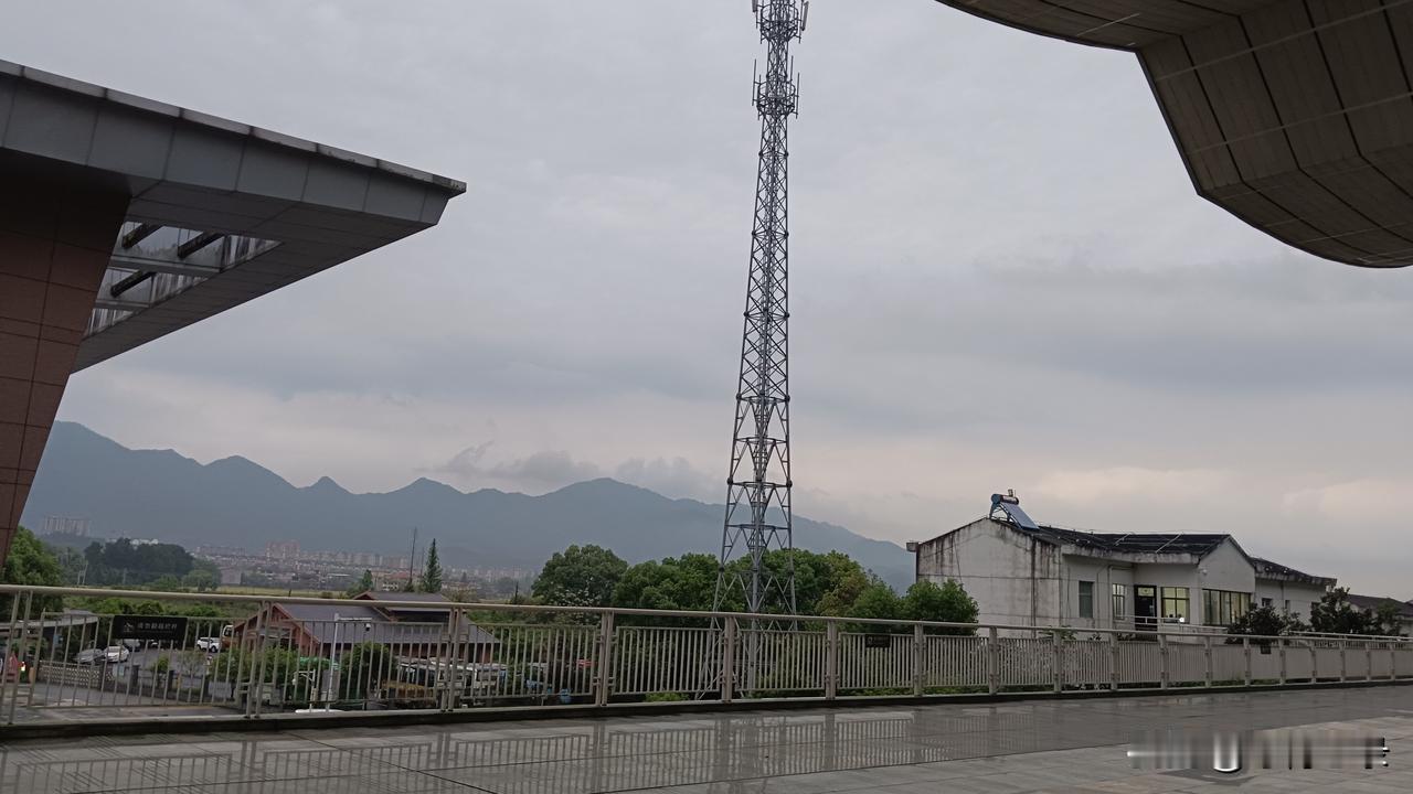 今年春天最想实现的心愿