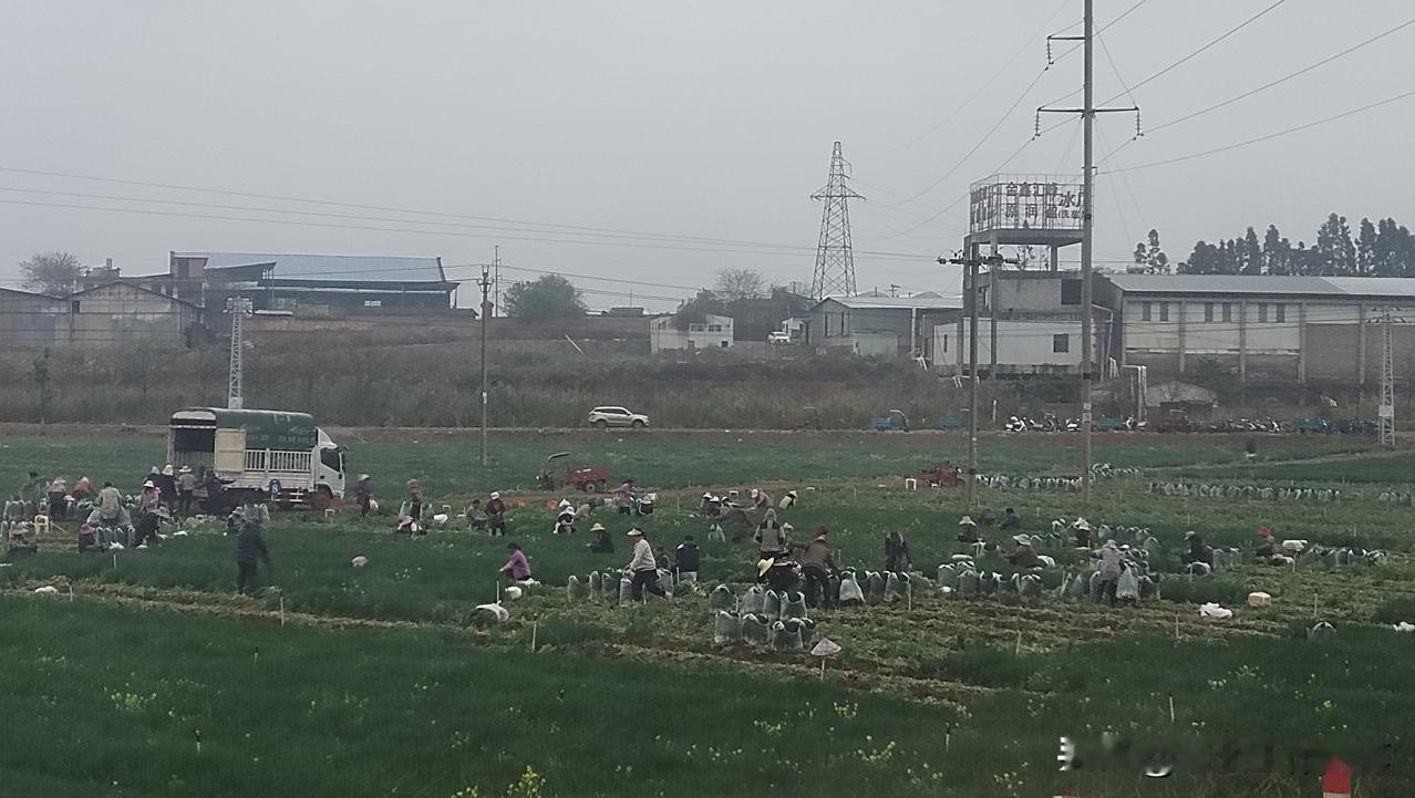 孩子都两三岁了，还有必要补办婚宴吗？
堂哥家前些年两口子都出去打工，留刚高中毕业