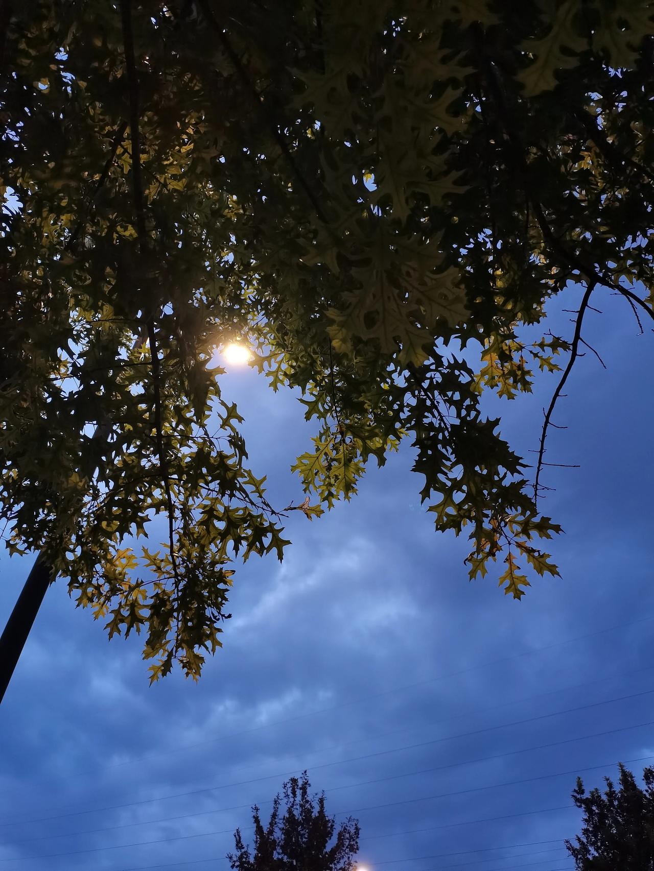 人一旦开窍，
就会丢掉一些东西，
比如以下这些东西：

1.面子
那晚特别有感触