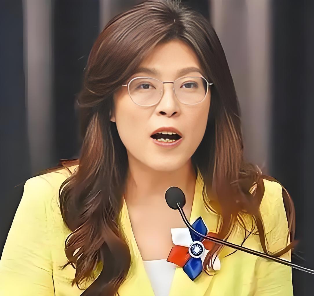 好家伙！2025年末的台海局势藏着大动静——国民党主席郑丽文一句“望通过对话实现