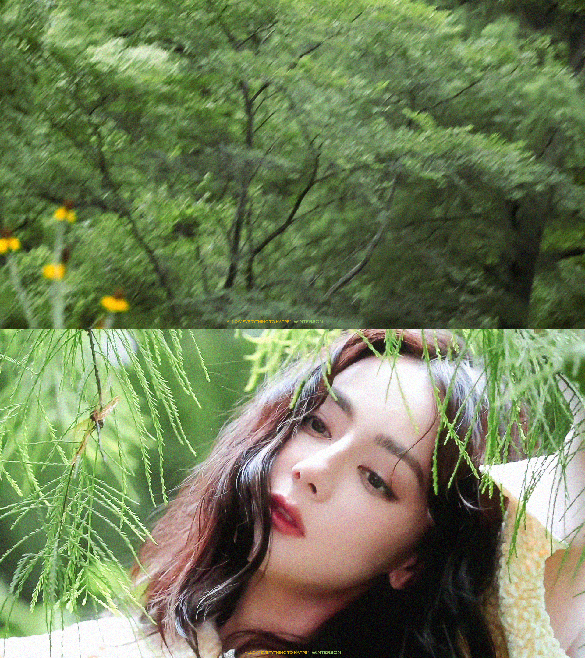 迪丽热巴.💐🍃🎋 
