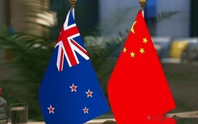 新西兰副总理在国会对一个华裔议员说：滚回你自己的国家。这个议员七岁就移民新西兰，