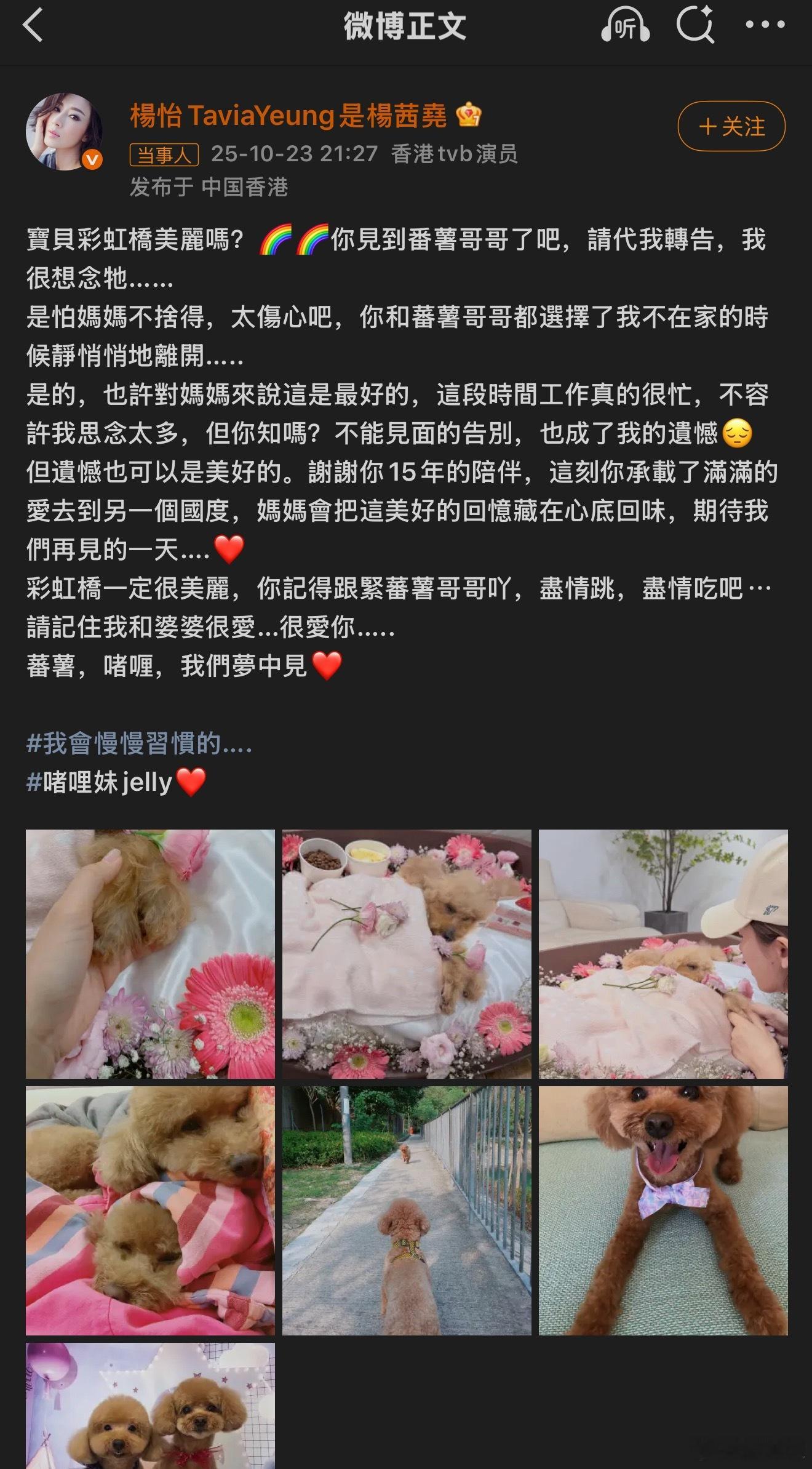 演员杨怡为离世爱犬举办告别仪式 阿怡真的人美心善❤️❤️ ​​​