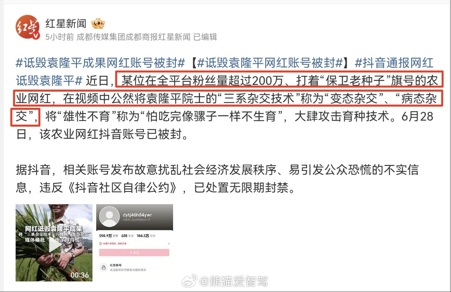 真是让这种人吃饱了，整天没事干瞎搞。诋毁袁隆平成果网红账号被封