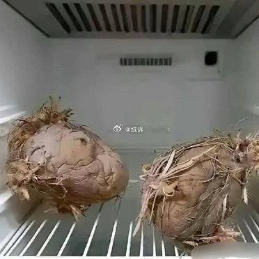 老一辈就是节约，殊不知电费都比他们贵！！！ 