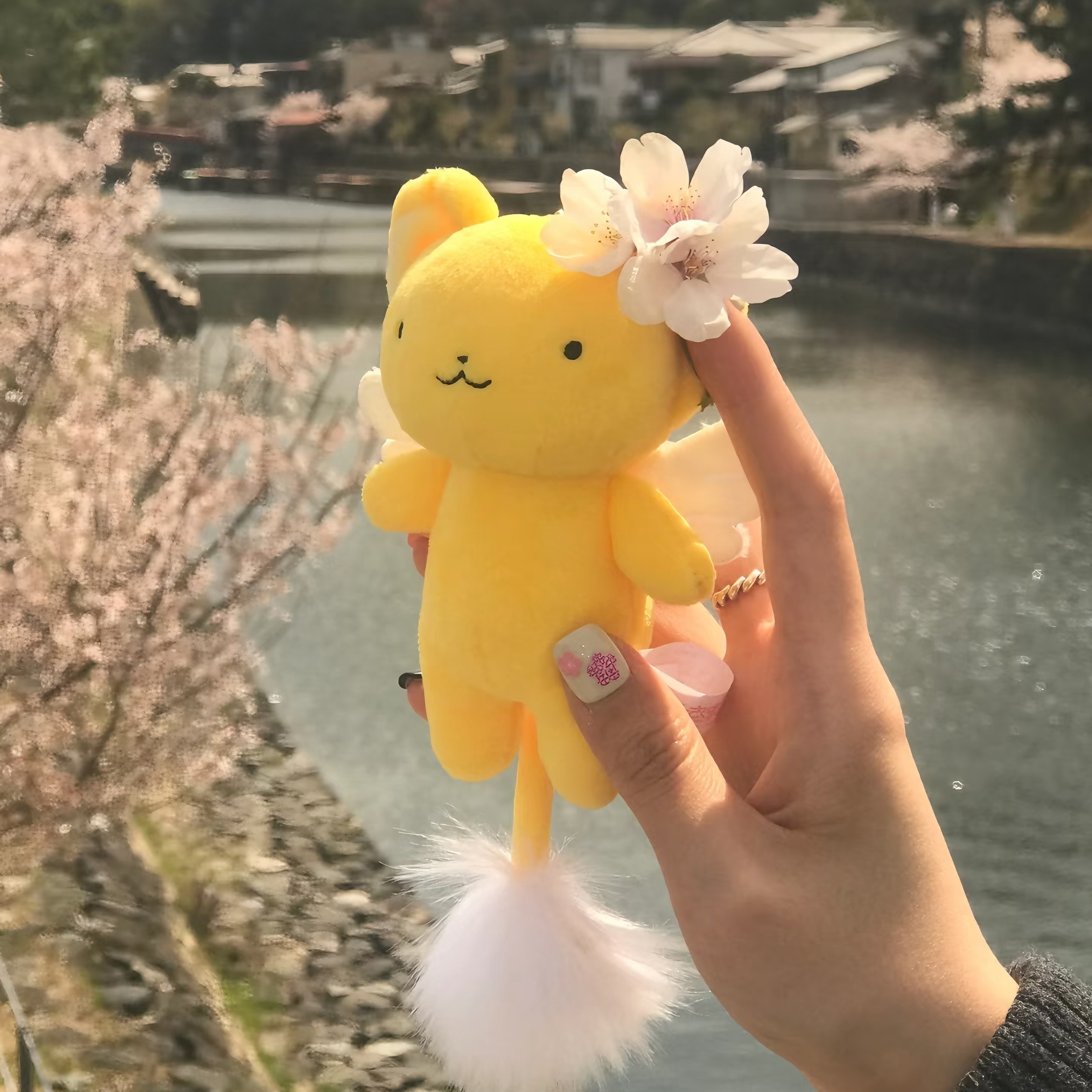 🤎幸せならok ​​​՞••՞可爱背景图 ​​​