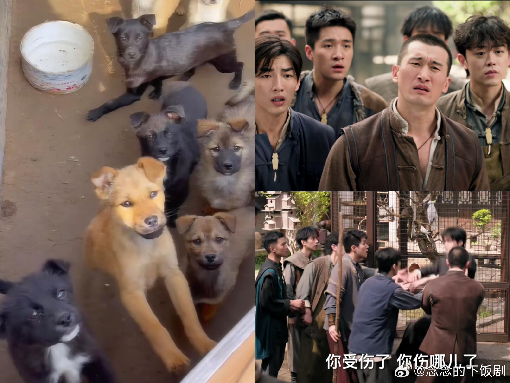 九门吴家人丢失汪族首领by like：😩吴家人就这样：你干甚去了😩狗族首领一