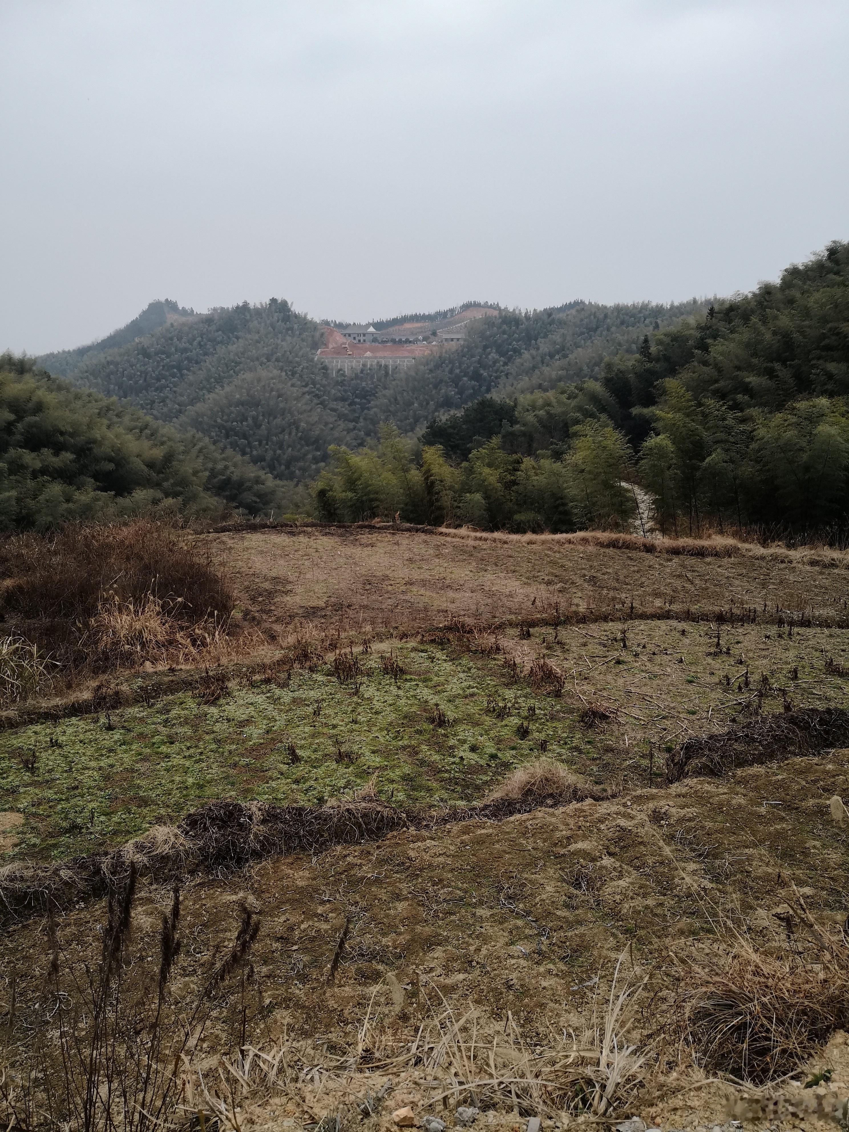 S-自己跟傻子一样，昨天赚那么多，不知道及时的止盈，哪怕是止盈一部分，也不至于今