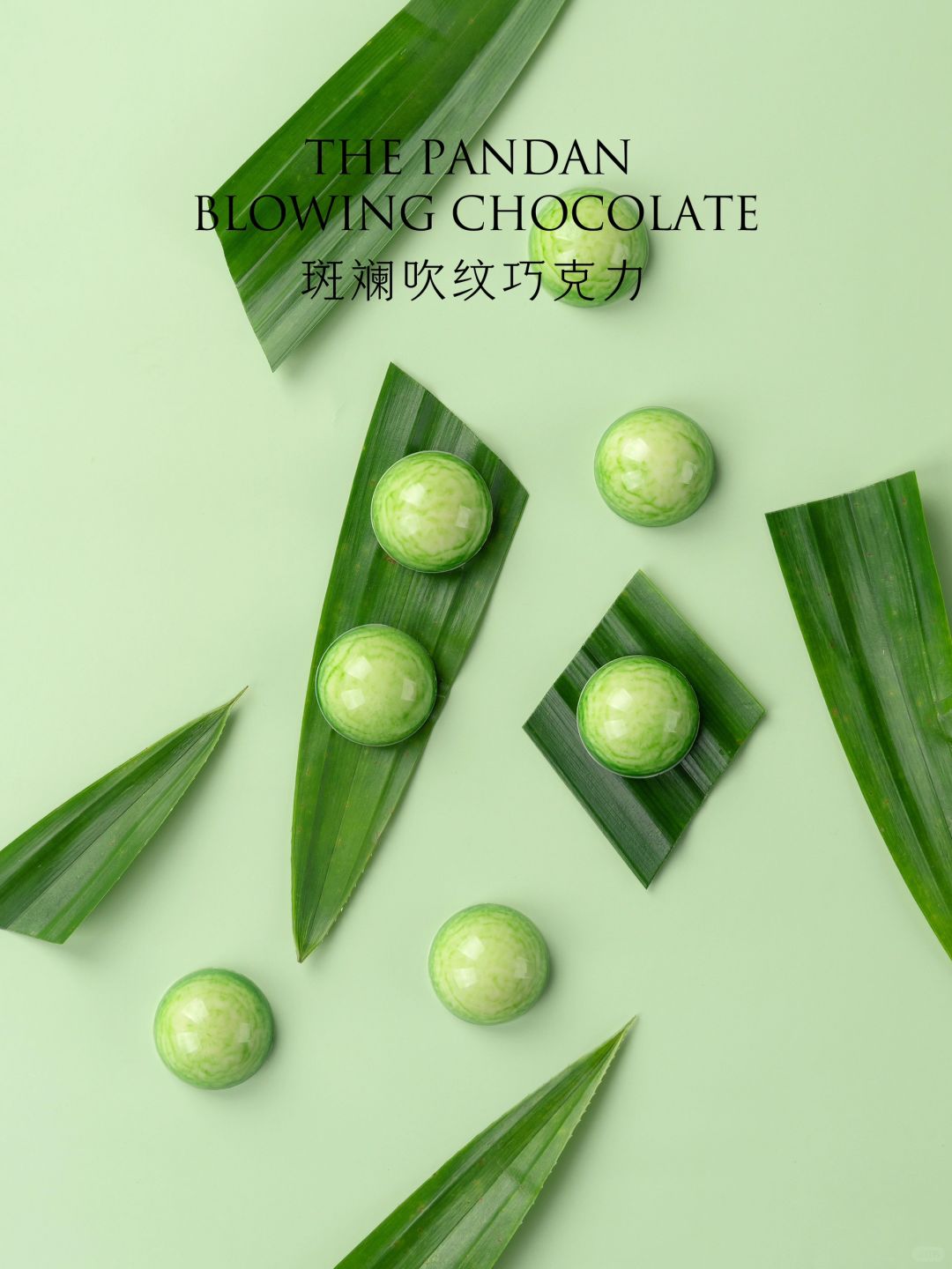 春风送来的斑斓味道手工巧克力