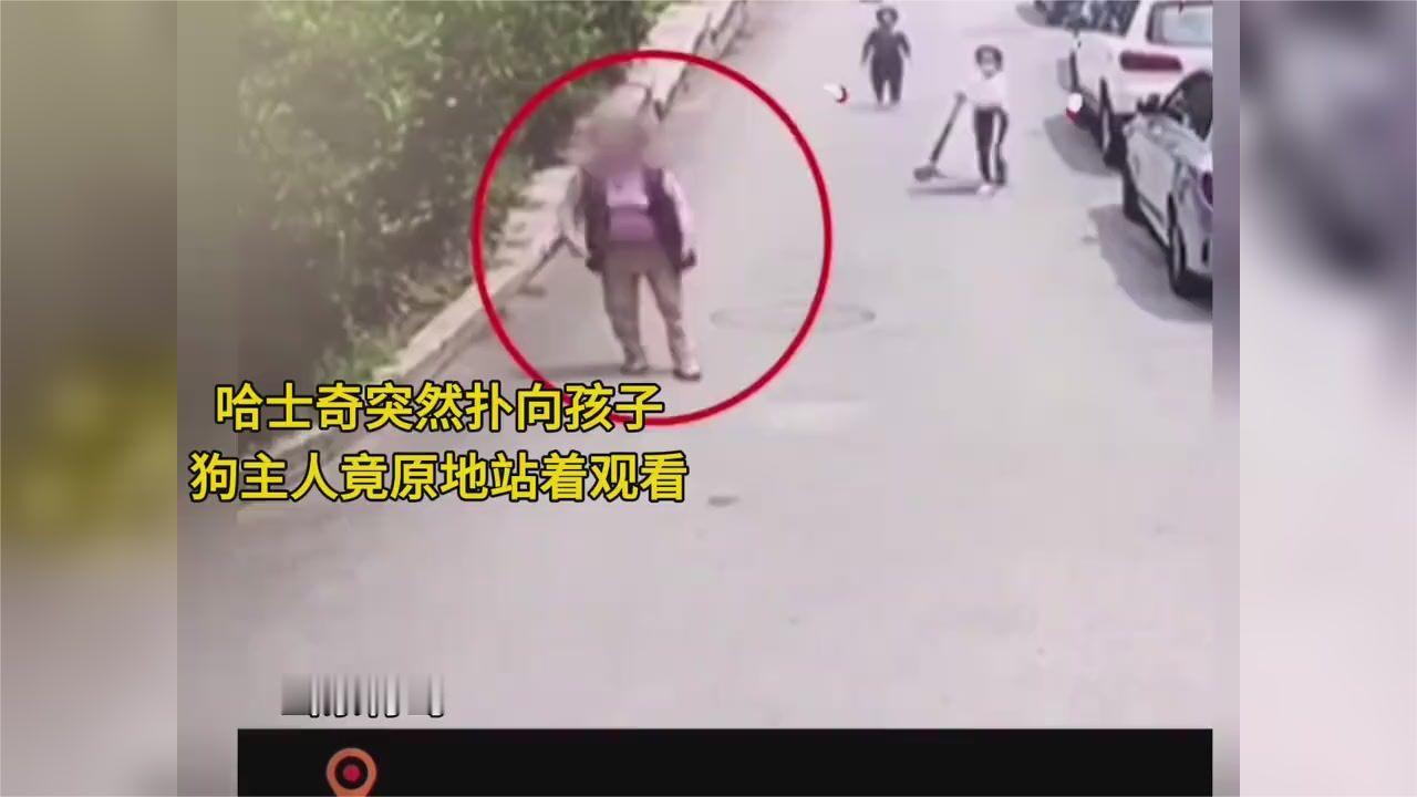哈士奇咬伤4人狗主赔偿方案遭家长拒绝