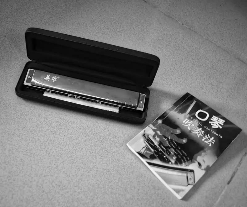 如果用新式单音（含 7 孔）奏法，得口含琴格七孔，用舌头盖住左边六孔。吹出右边开