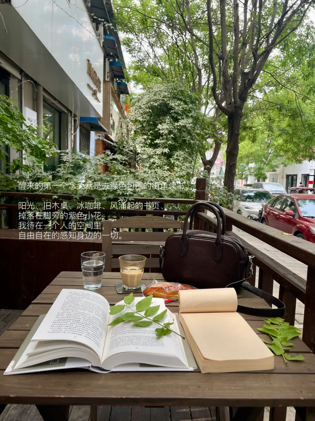 幸福是街角读书、晒太阳、随心所欲的发呆