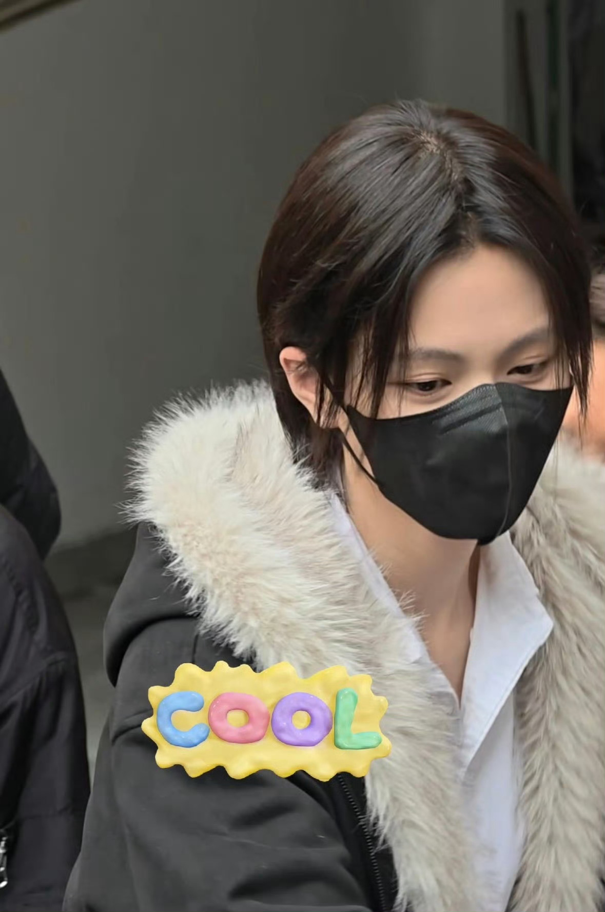 我已经搞不懂不二之臣想干嘛了……？魔幻现实 