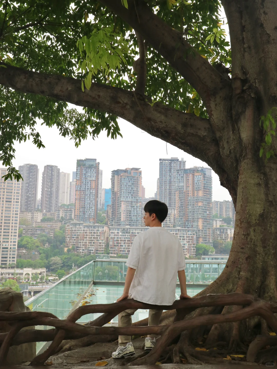 重庆Citywalk🌳发现市内超治愈的小众步道