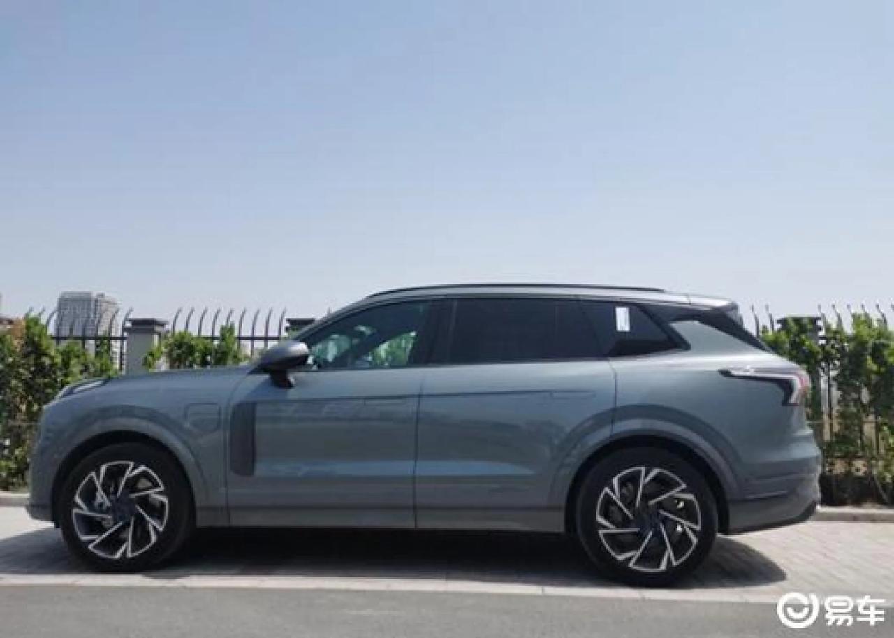 【车主：空间我感觉是没问题的，目前我们四口之家日常使用比较充裕。】
领克09 P