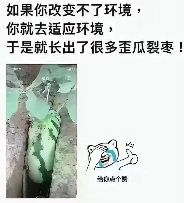 问：为什么曹操喜欢有夫之妇？？

答：当你不知道怎么挑水果的时候，你直接拿别人袋