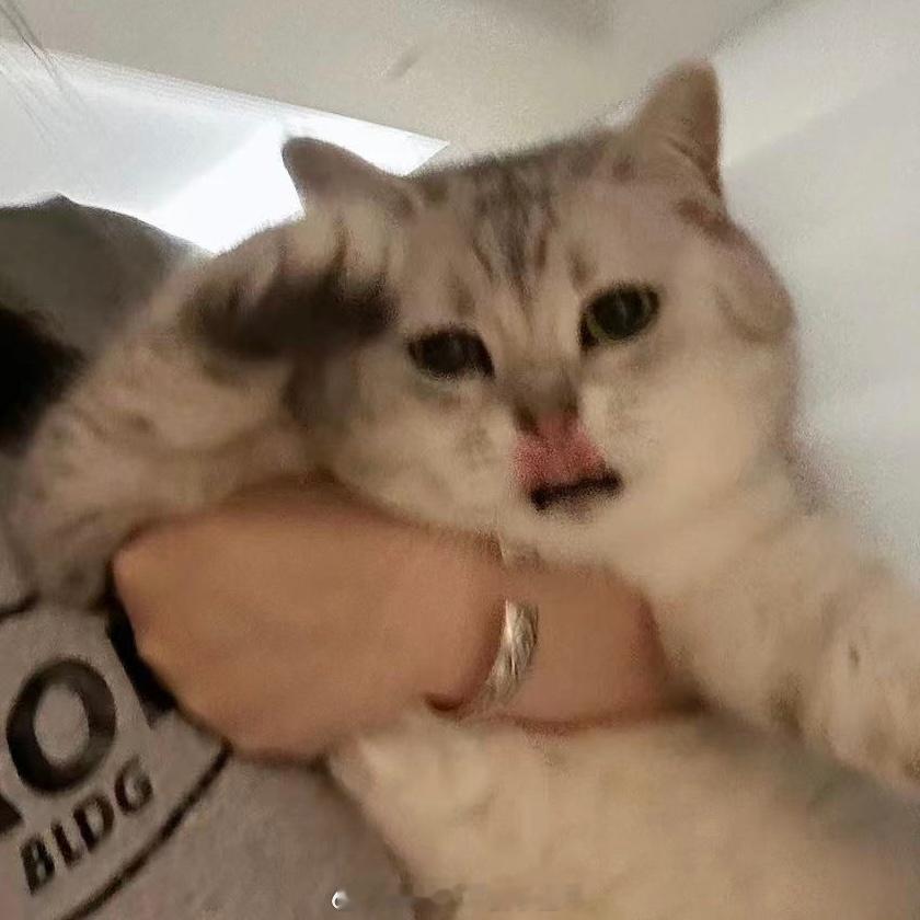 🫡#年糕才不要小鱼干[超话]# ​​​