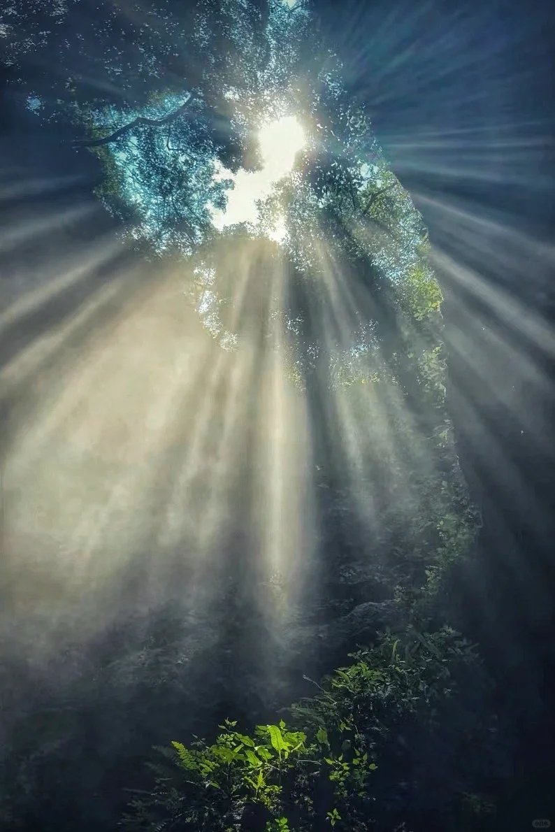 清明节纪龙山探洞 速降 露营篝火看星星