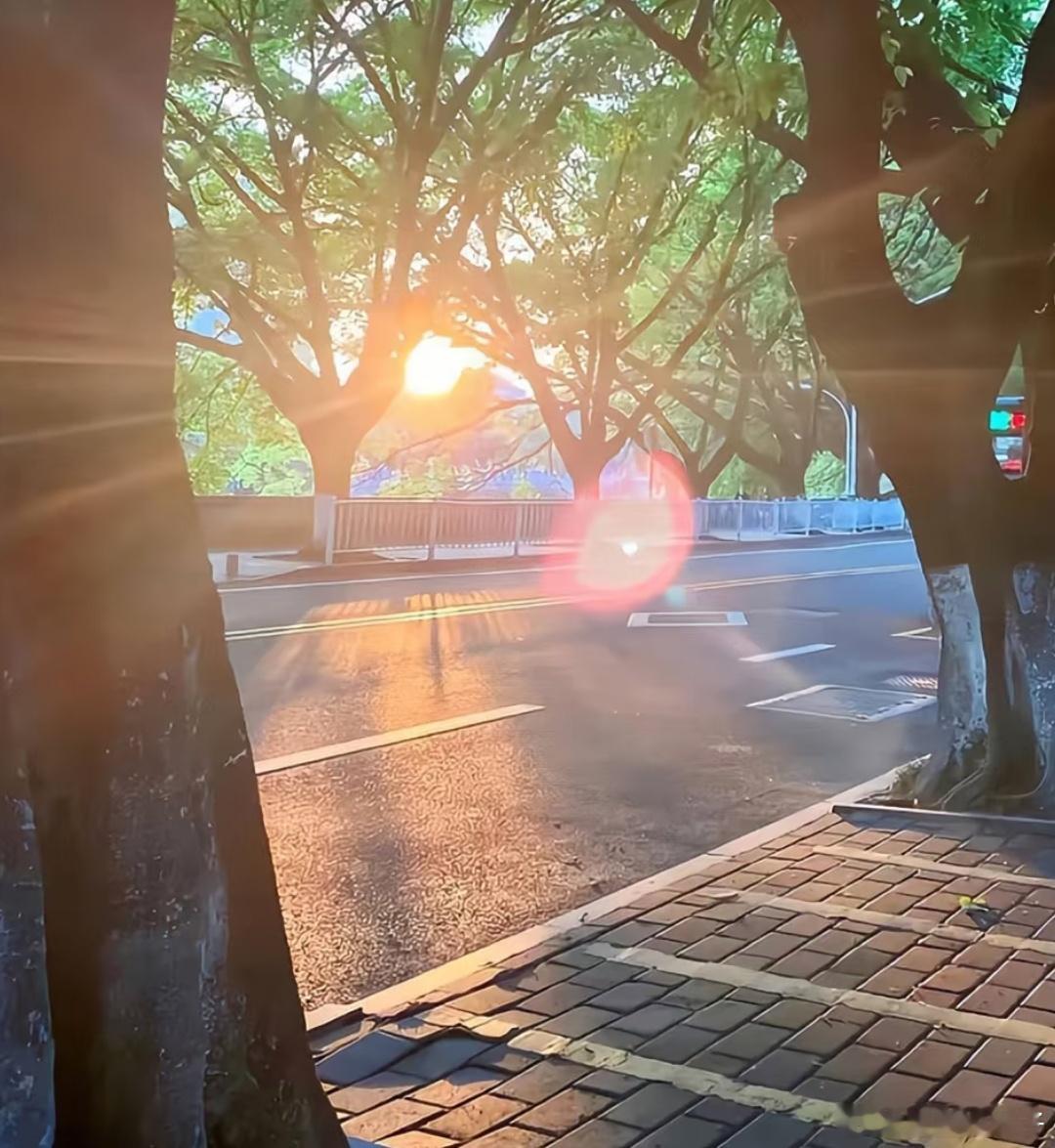 早上好啊又是阳光明媚的一天！ ​​​