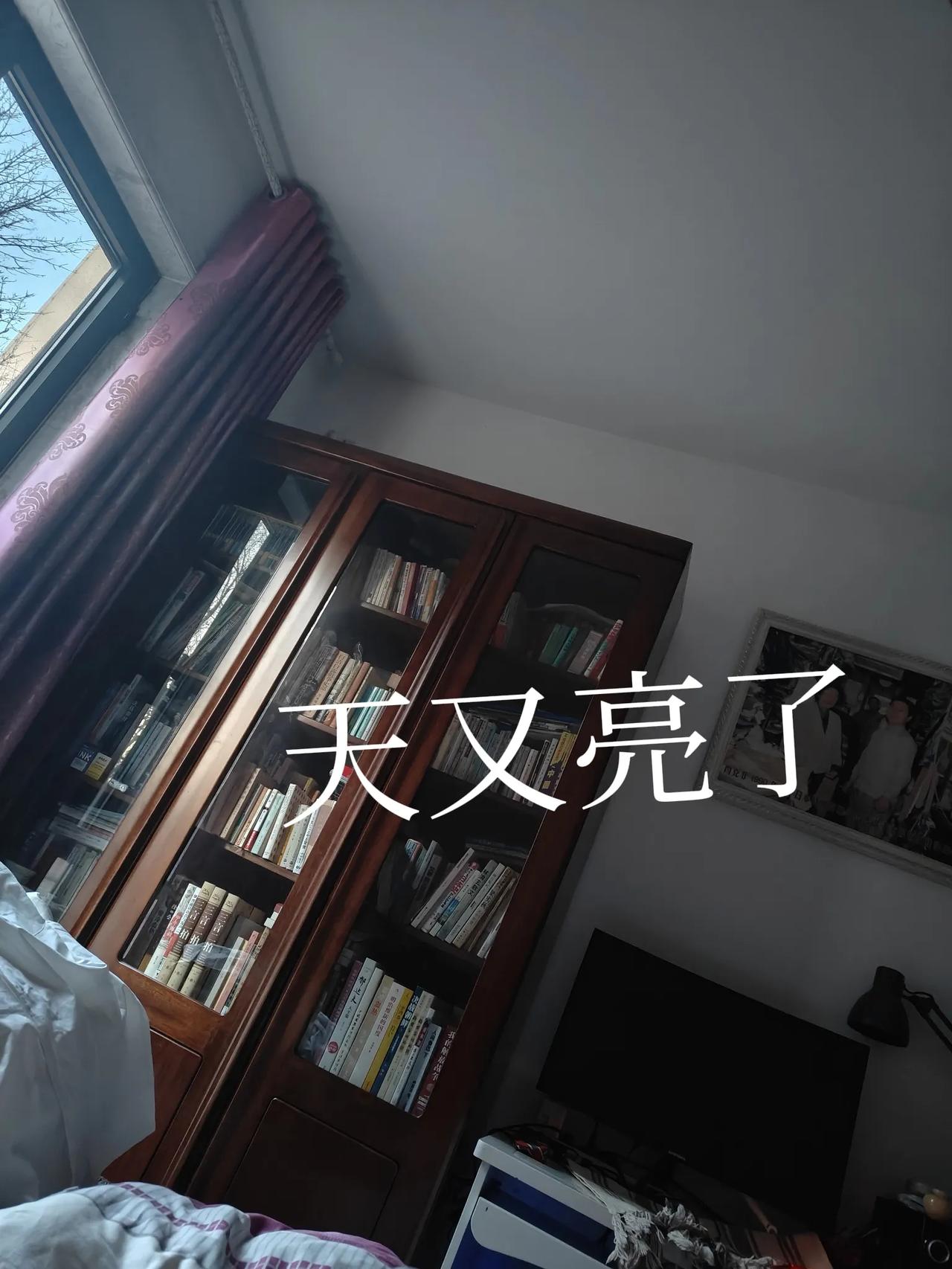 天又亮了，俯瞰一下窗外园区里光秃秃的树梢，不细瞅看不出在左右摆动。天空是灰色的，