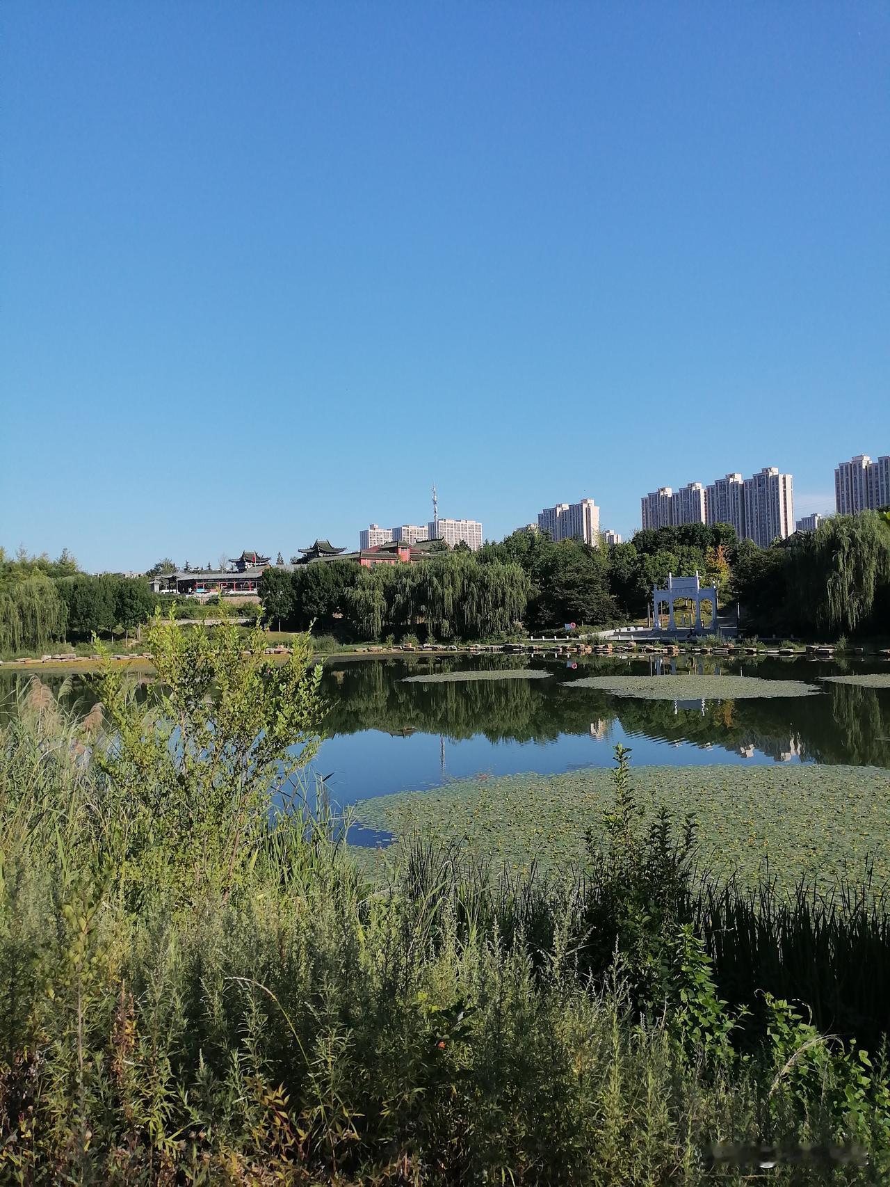 可以分享一张你拍的天空美照吗看看天空，多么的蓝！湖水映照，相得益彰，但并不是每一