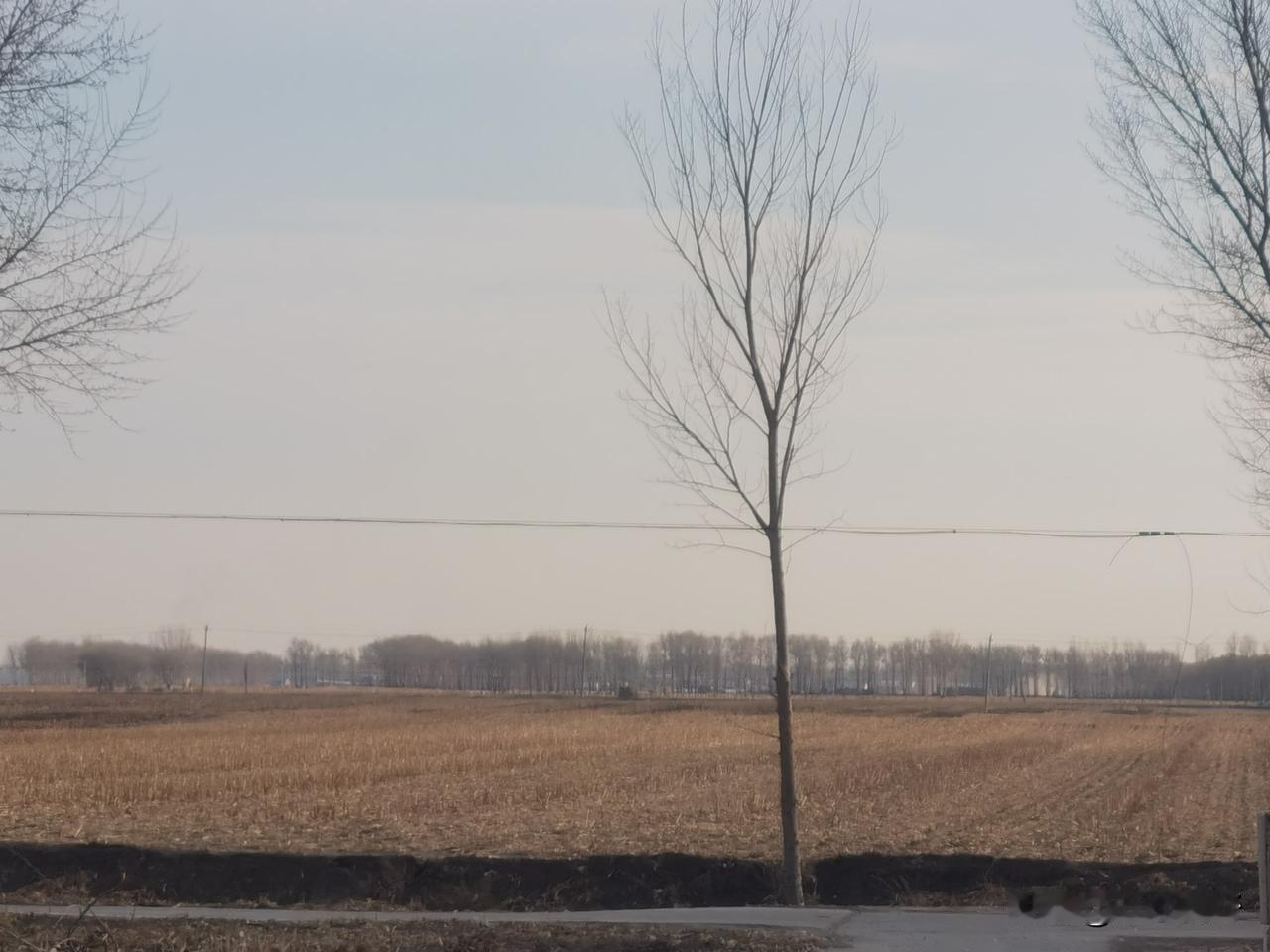 平原的好处，不用站的高也一样望的远[捂脸]目之所以及六里开外，如果没有树木遮挡还