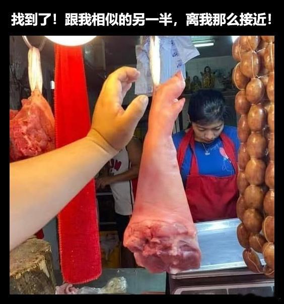 是我memes迷译图