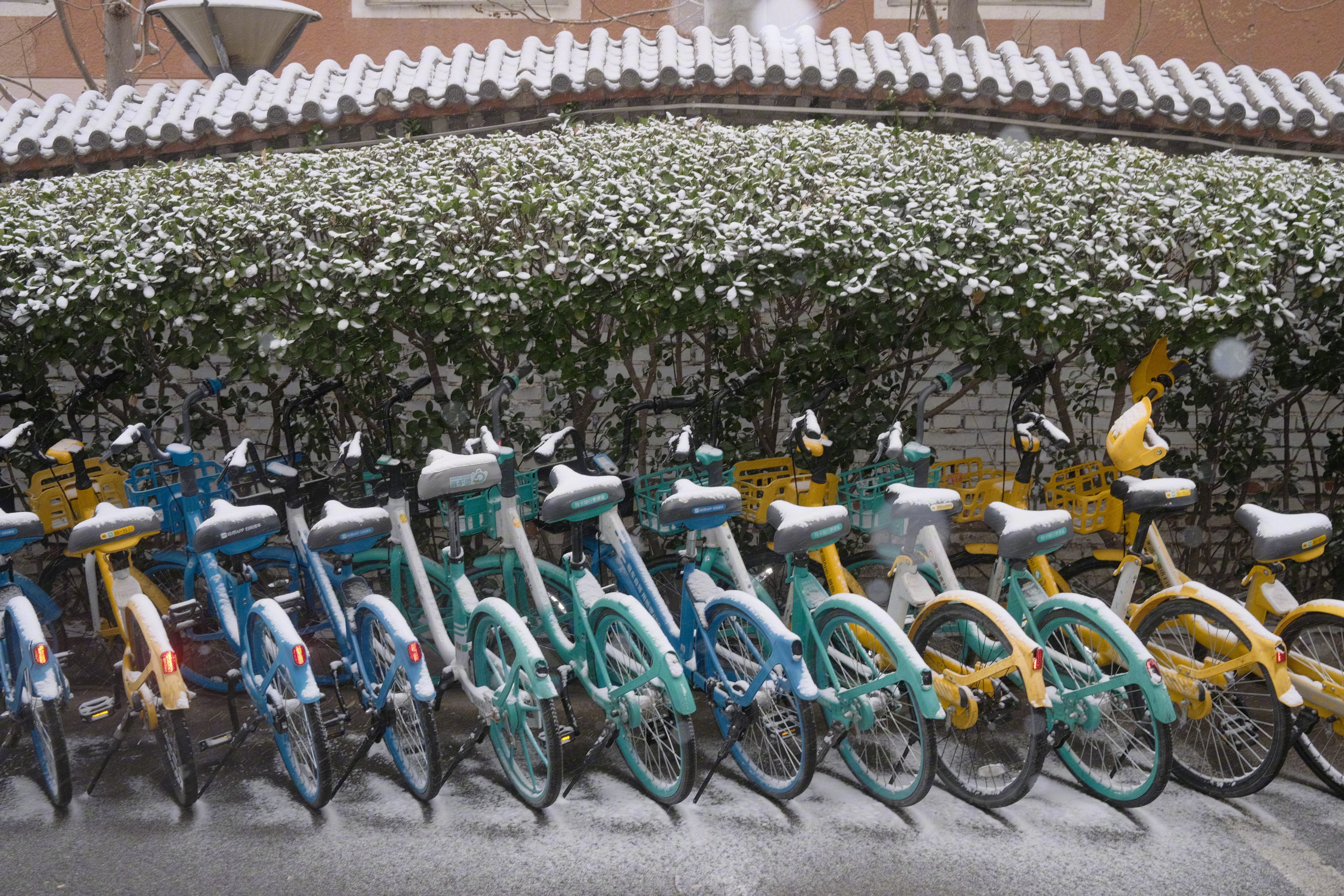 下雪喽 翻翻相册凑个九宫格 熙游记北京下雪