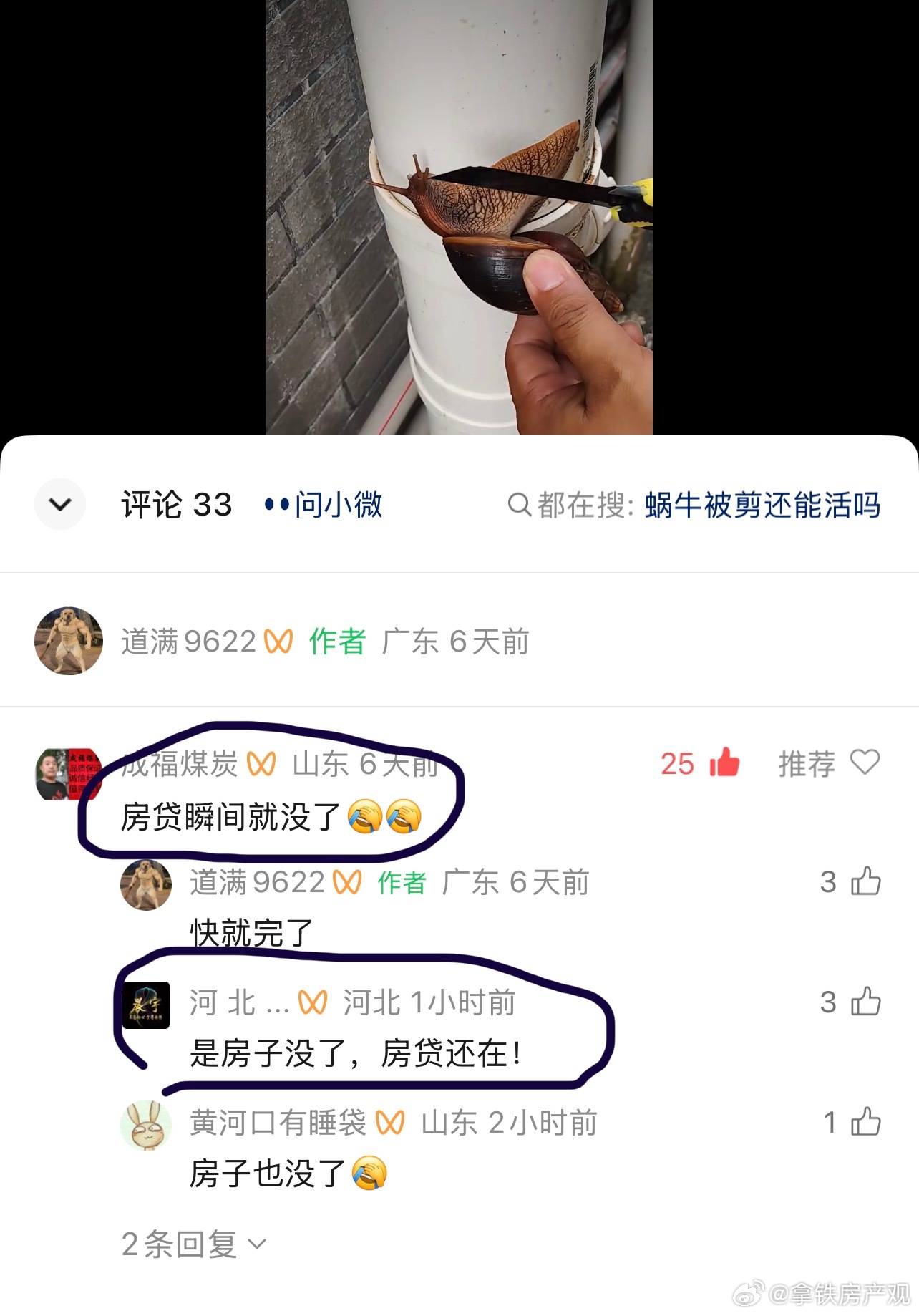 经常刷到给蜗牛卸房贷的视频，评论区总是那么幽默 ​​​