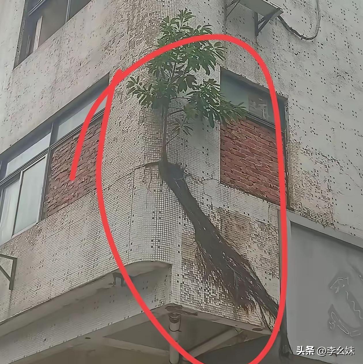 这房主恐怕头都大了