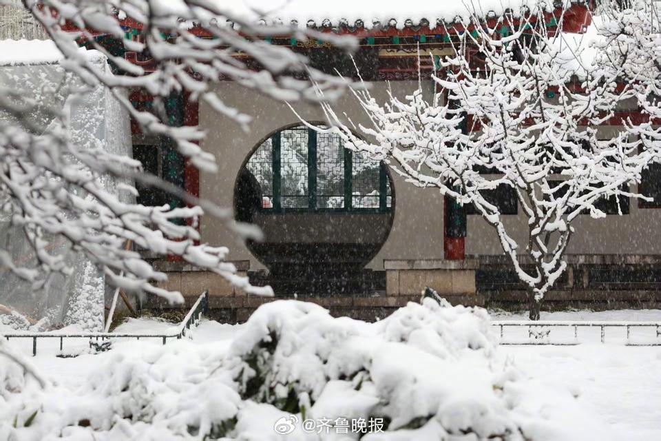 【#趵突泉雪中秒变琼楼玉宇#】3月2日，济南迎来罕见的漫天大雪。白雪装点了济南趵